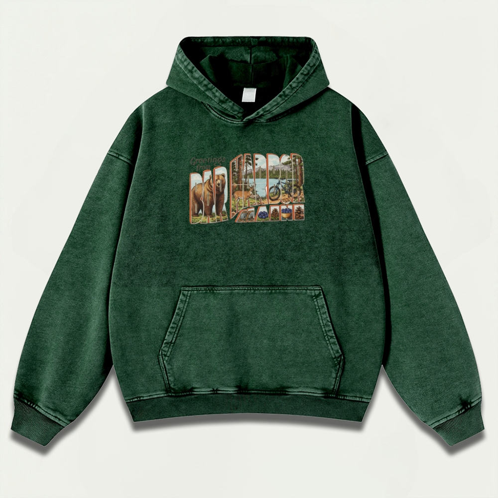Bar Harbor Maine Vintage Premium Heavyweight Trail Hoodie-HikeVista