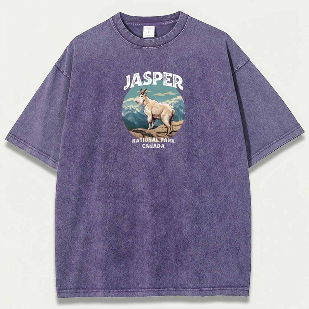 Jasper National Park Vintage Organic Cotton Trail Tee-HikeVista