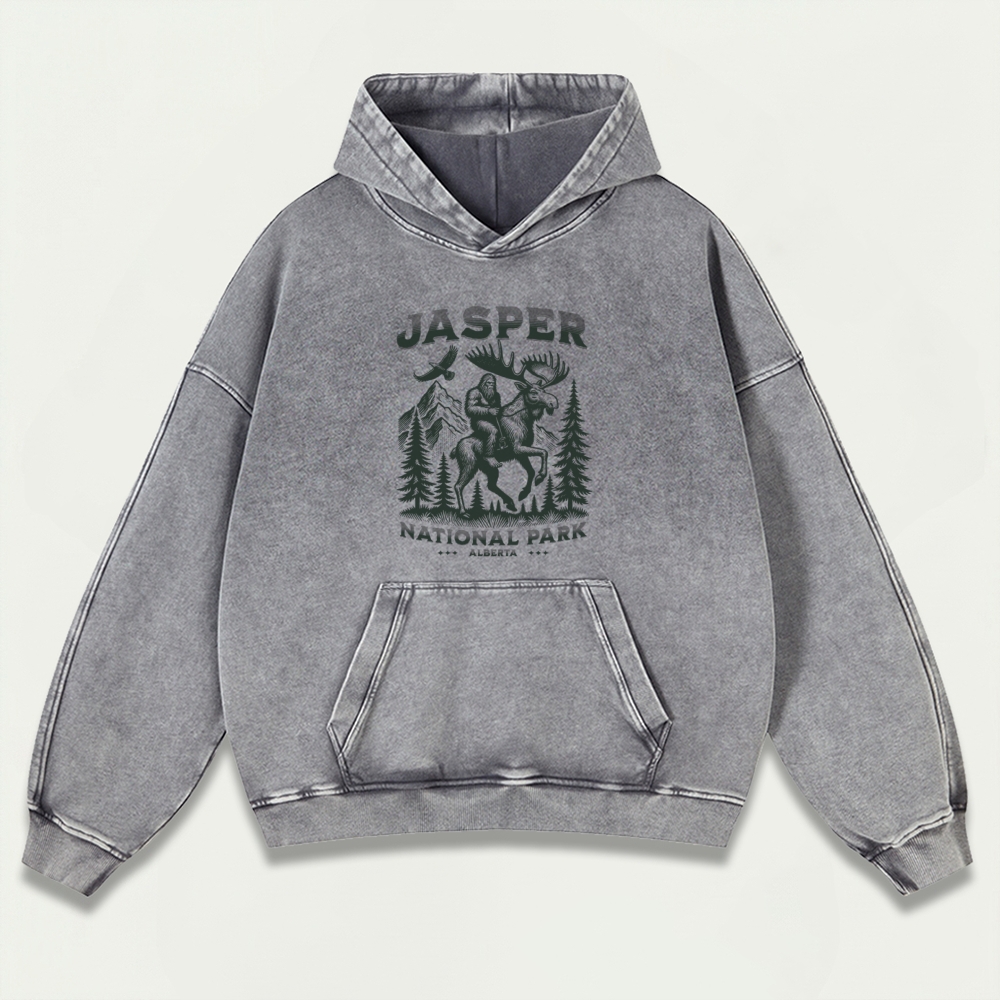 Jasper National Park Vintage Premium Heavyweight Trail Hoodie-HikeVista
