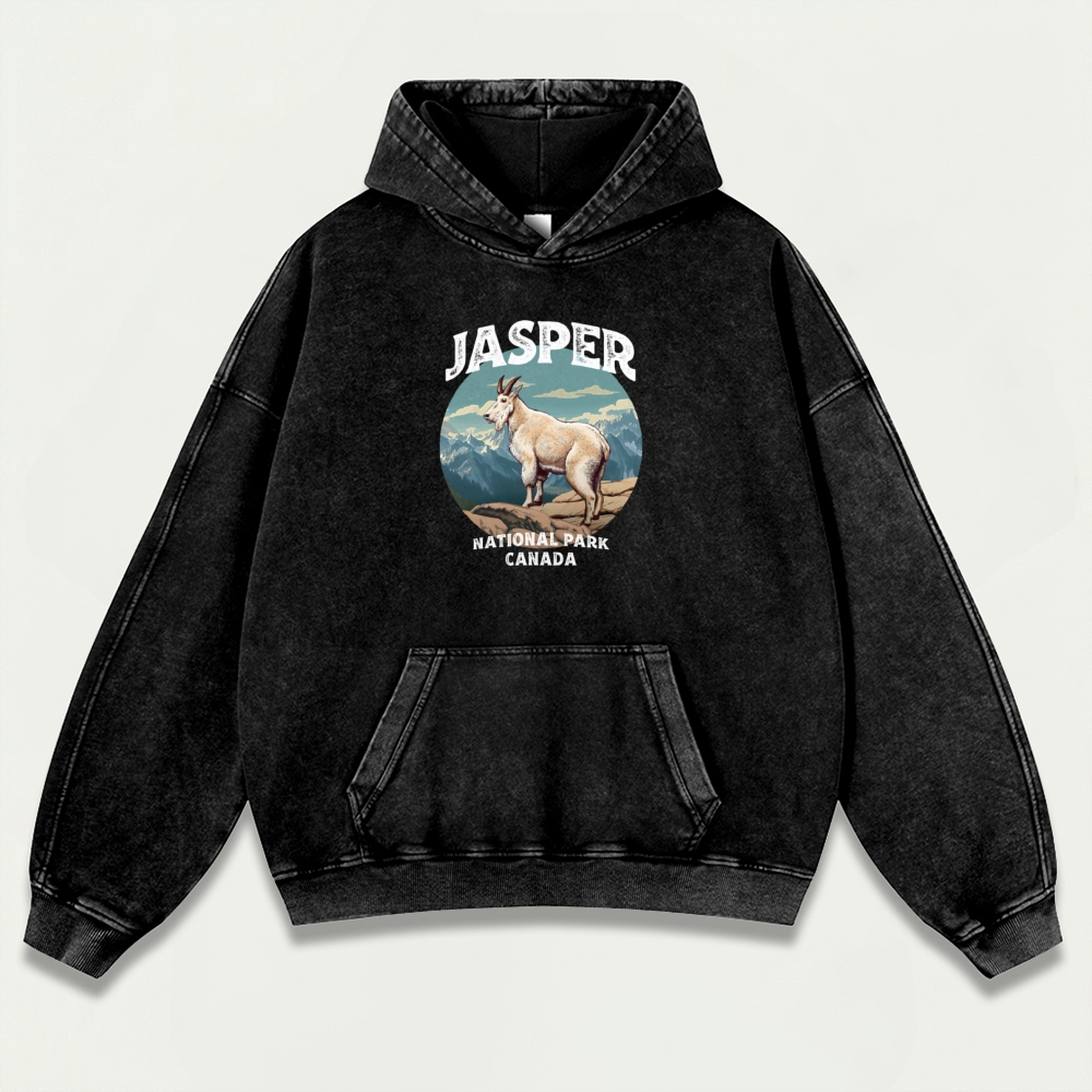 Jasper National Park Vintage Premium Heavyweight Trail Hoodie-HikeVista