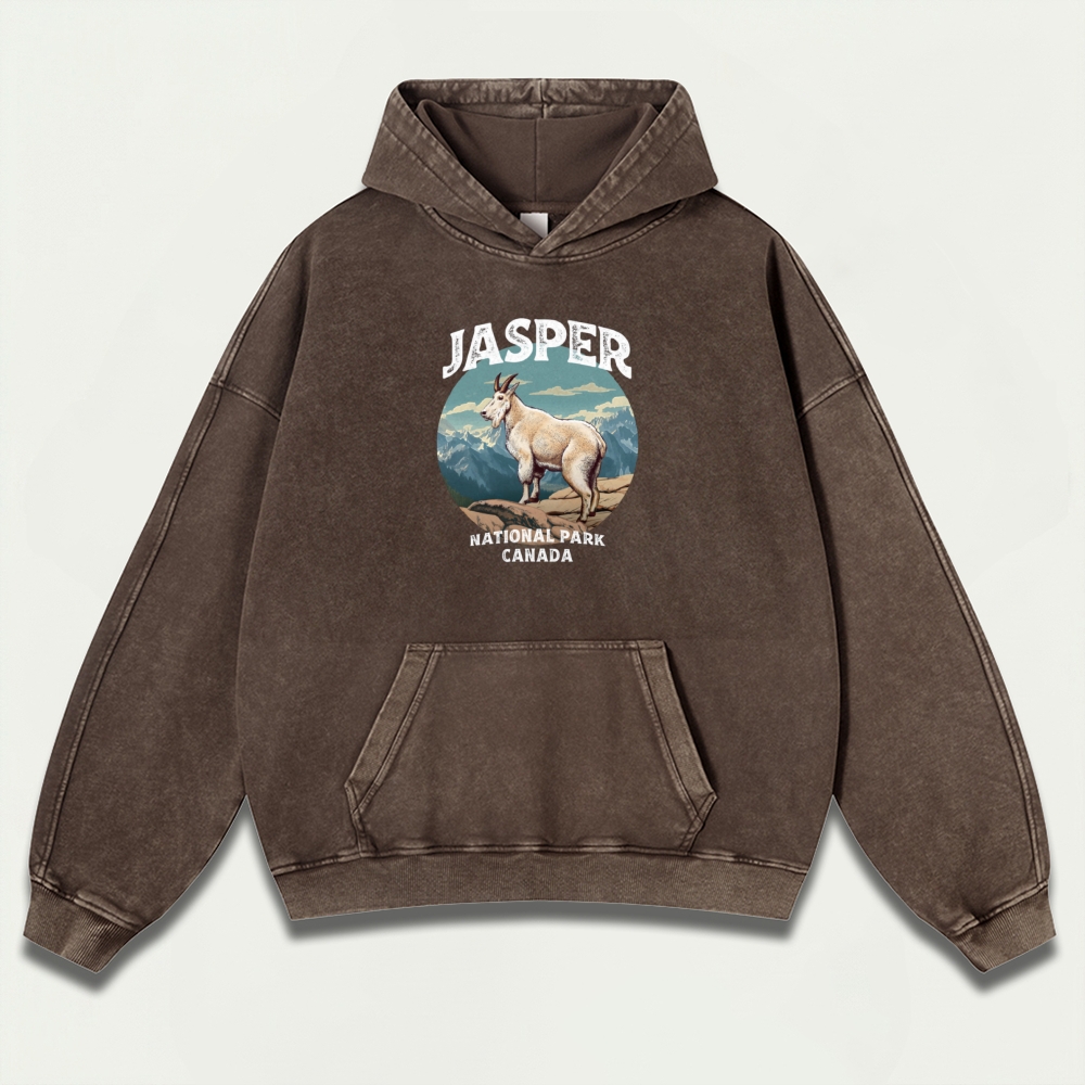 Jasper National Park Vintage Premium Heavyweight Trail Hoodie-HikeVista