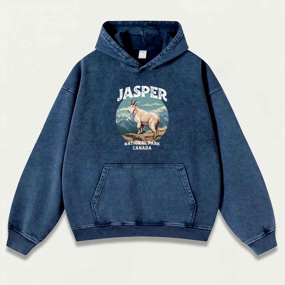 Jasper National Park Vintage Premium Heavyweight Trail Hoodie-HikeVista