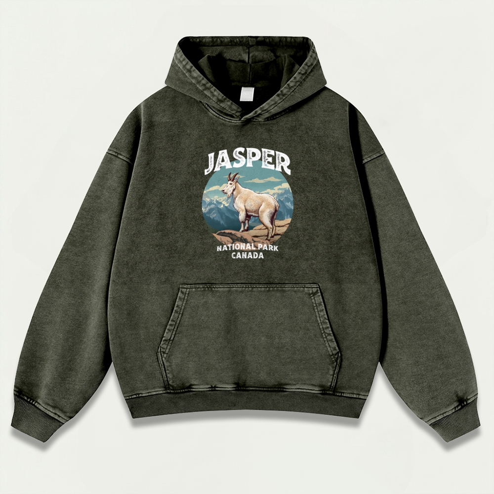 Jasper National Park Vintage Premium Heavyweight Trail Hoodie-HikeVista