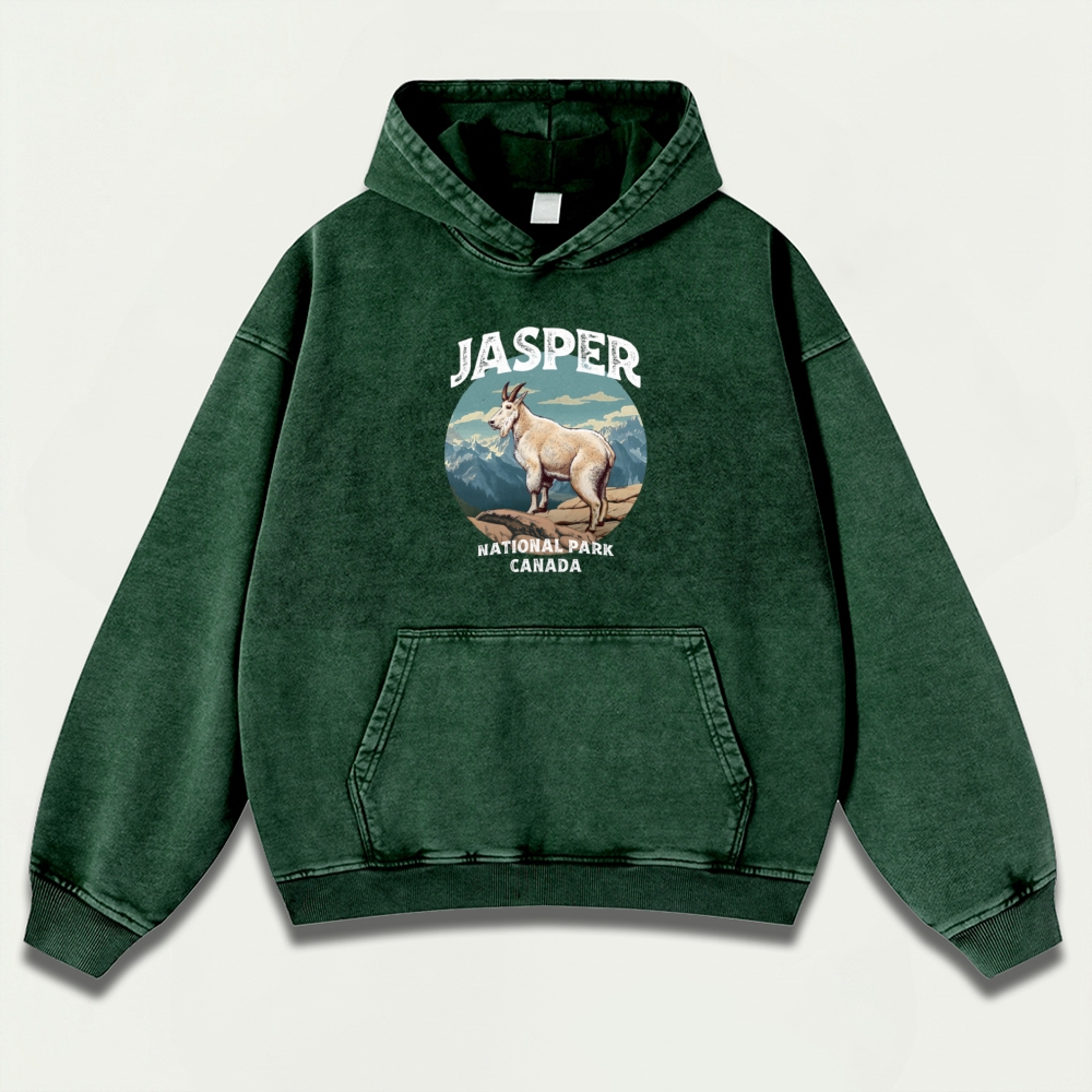 Jasper National Park Vintage Premium Heavyweight Trail Hoodie-HikeVista