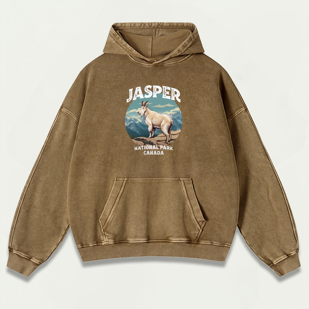 Jasper National Park Vintage Premium Heavyweight Trail Hoodie-HikeVista