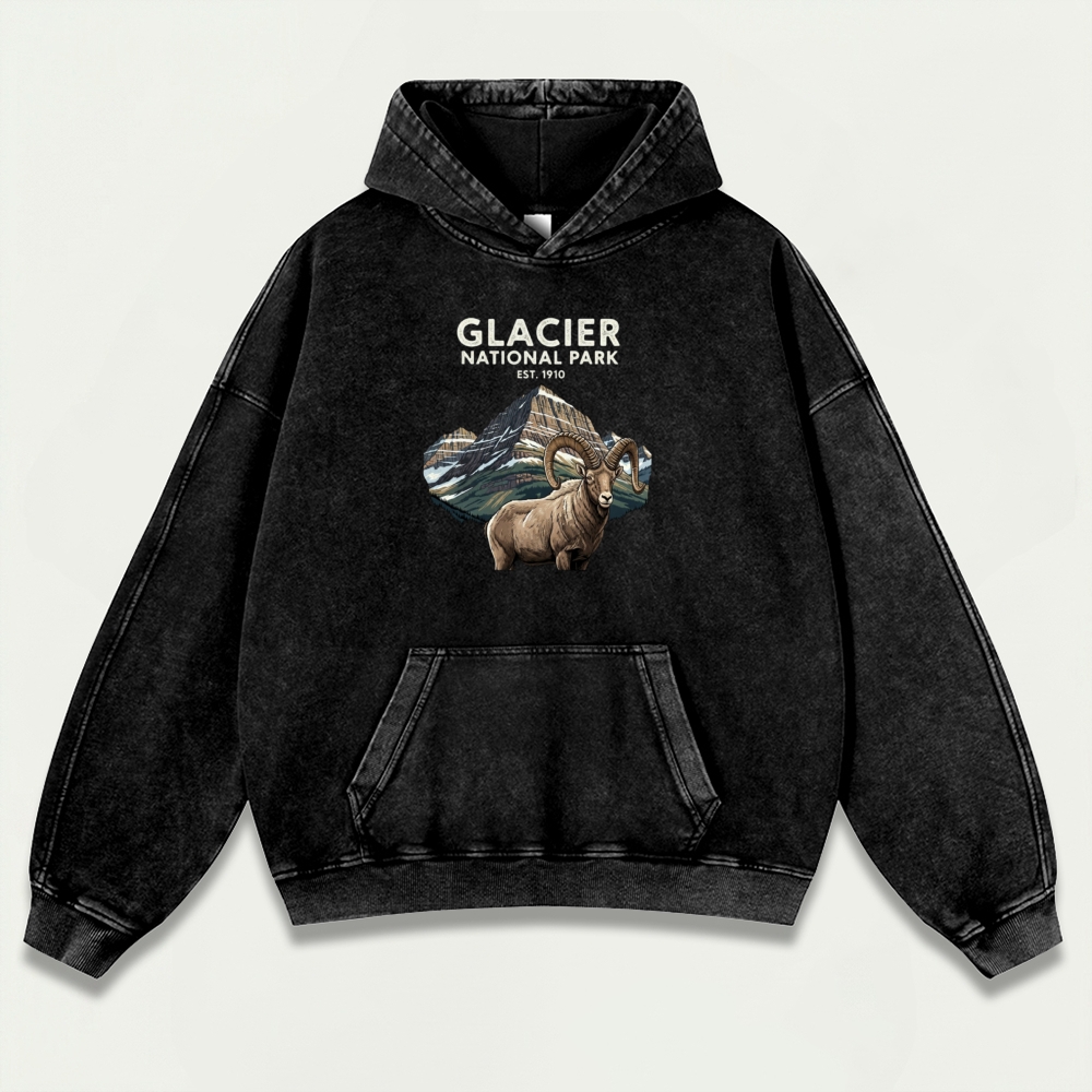 Glacier National Park Vintage Premium Heavyweight Trail Hoodie-HikeVista