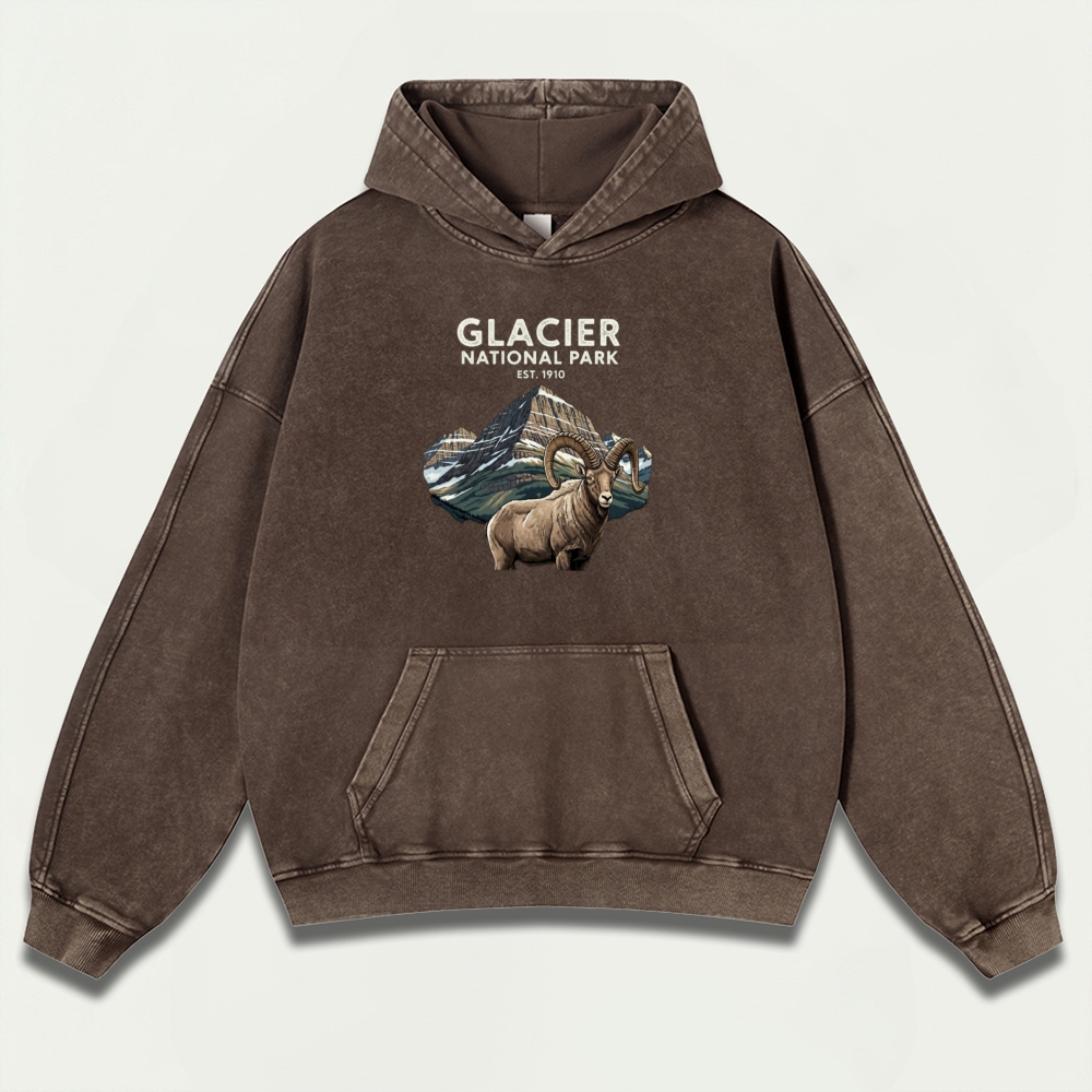 Glacier National Park Vintage Premium Heavyweight Trail Hoodie-HikeVista