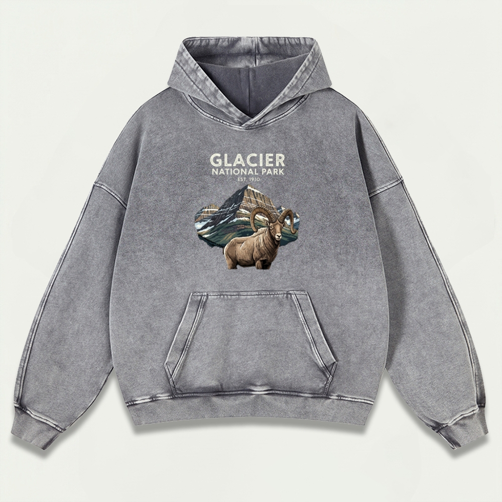 Glacier National Park Vintage Premium Heavyweight Trail Hoodie-HikeVista