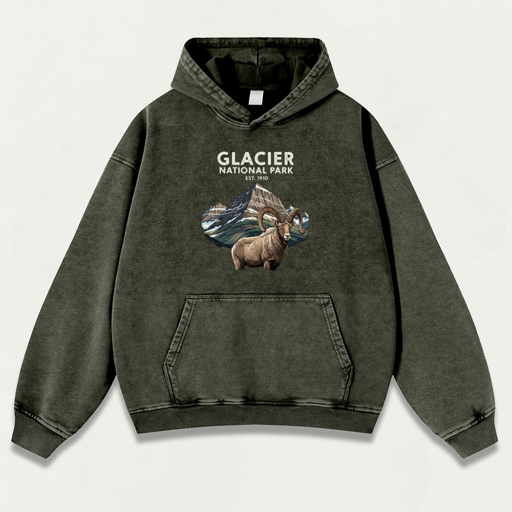 Glacier National Park Vintage Premium Heavyweight Trail Hoodie-HikeVista