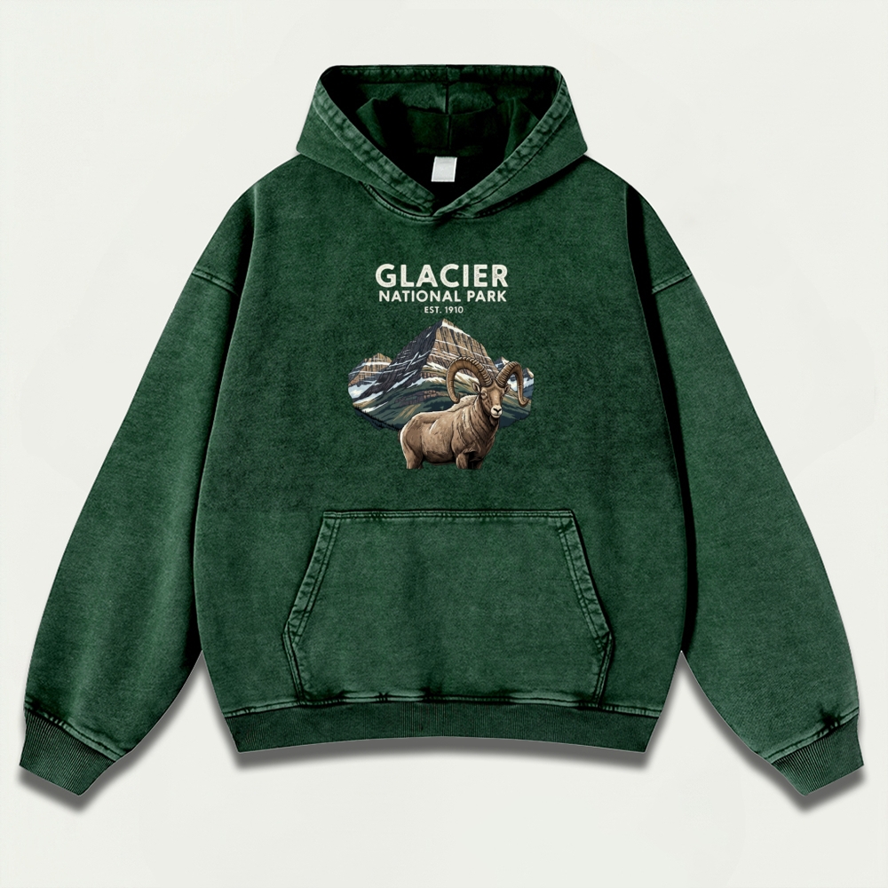 Glacier National Park Vintage Premium Heavyweight Trail Hoodie-HikeVista