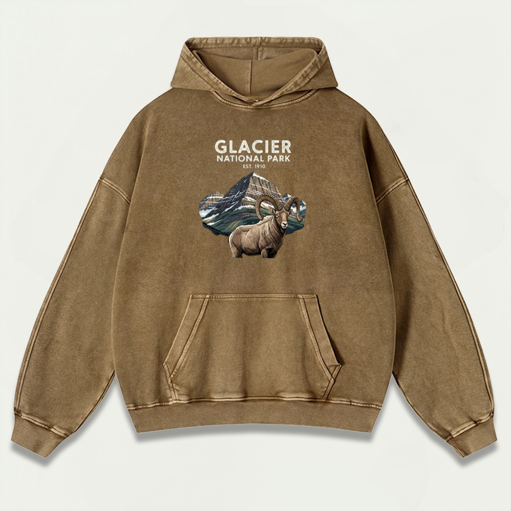 Glacier National Park Vintage Premium Heavyweight Trail Hoodie-HikeVista