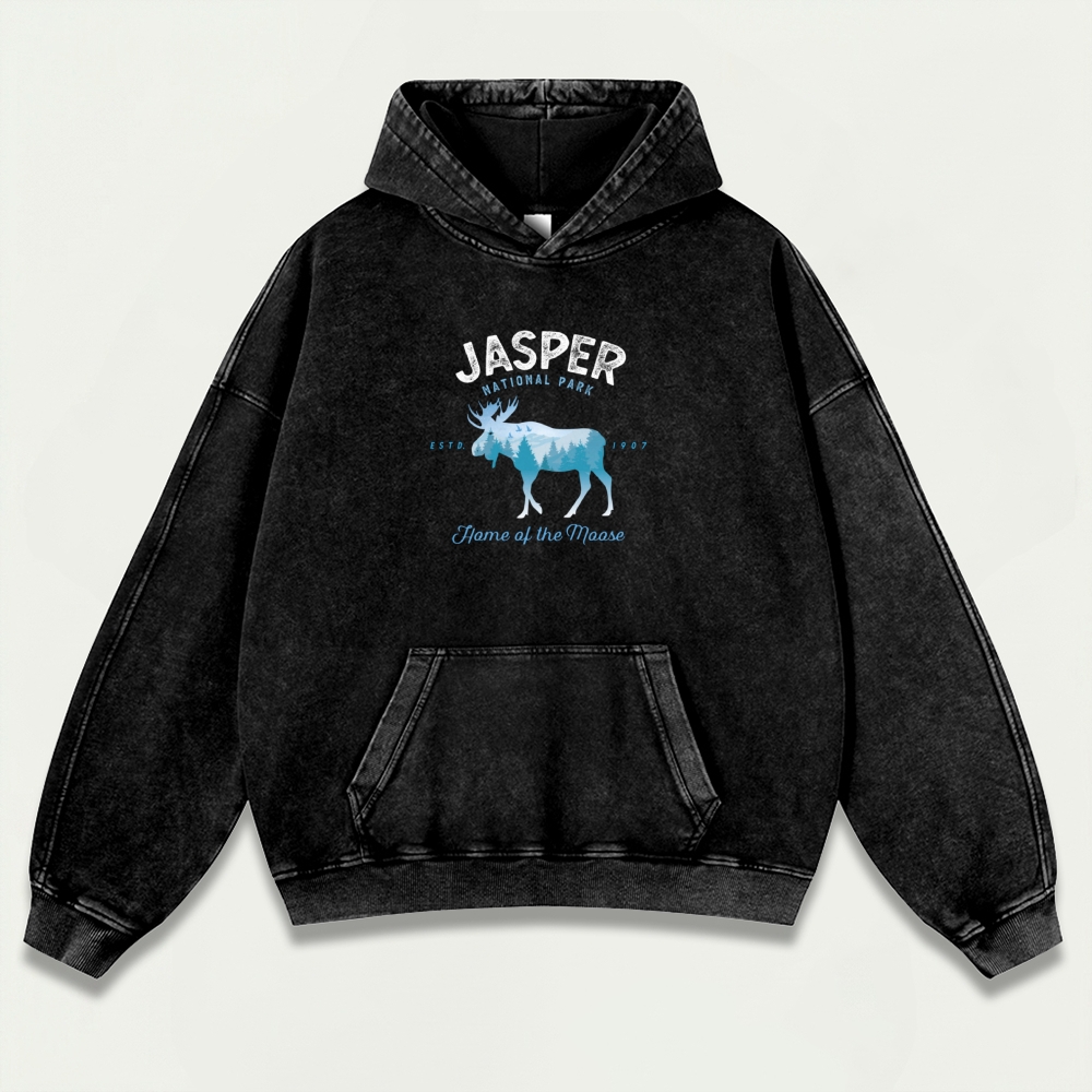 Jasper National Park Vintage Premium Heavyweight Trail Hoodie-HikeVista