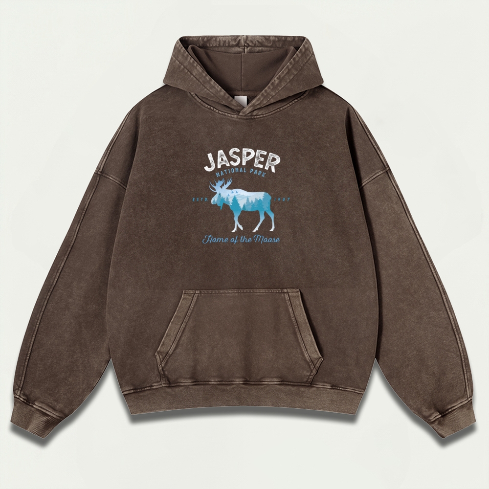 Jasper National Park Vintage Premium Heavyweight Trail Hoodie-HikeVista