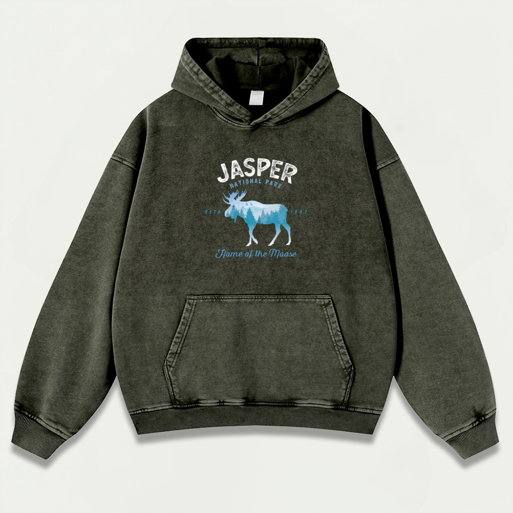 Jasper National Park Vintage Premium Heavyweight Trail Hoodie-HikeVista