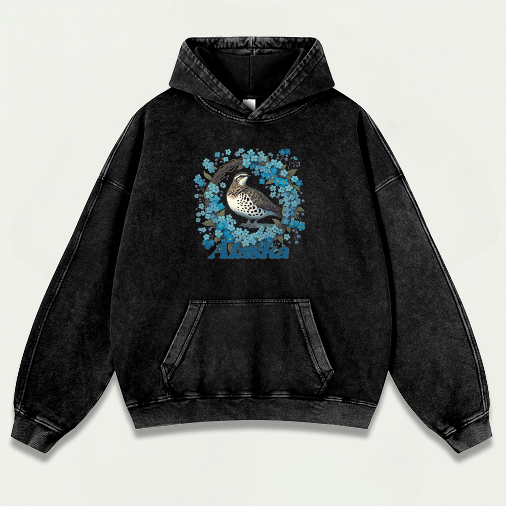 Alaska Vintage Premium Heavyweight Hiking Hoodie-HikeVista