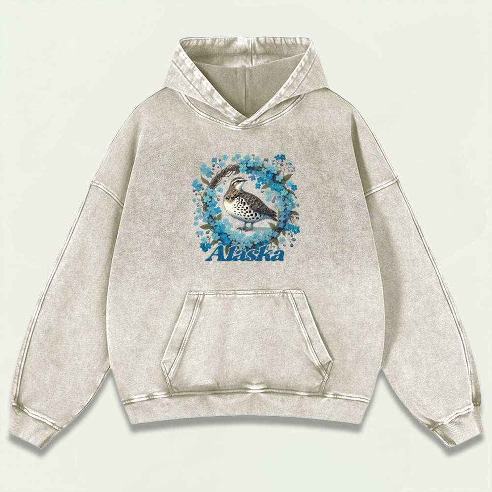 Alaska Vintage Premium Heavyweight Hiking Hoodie-HikeVista
