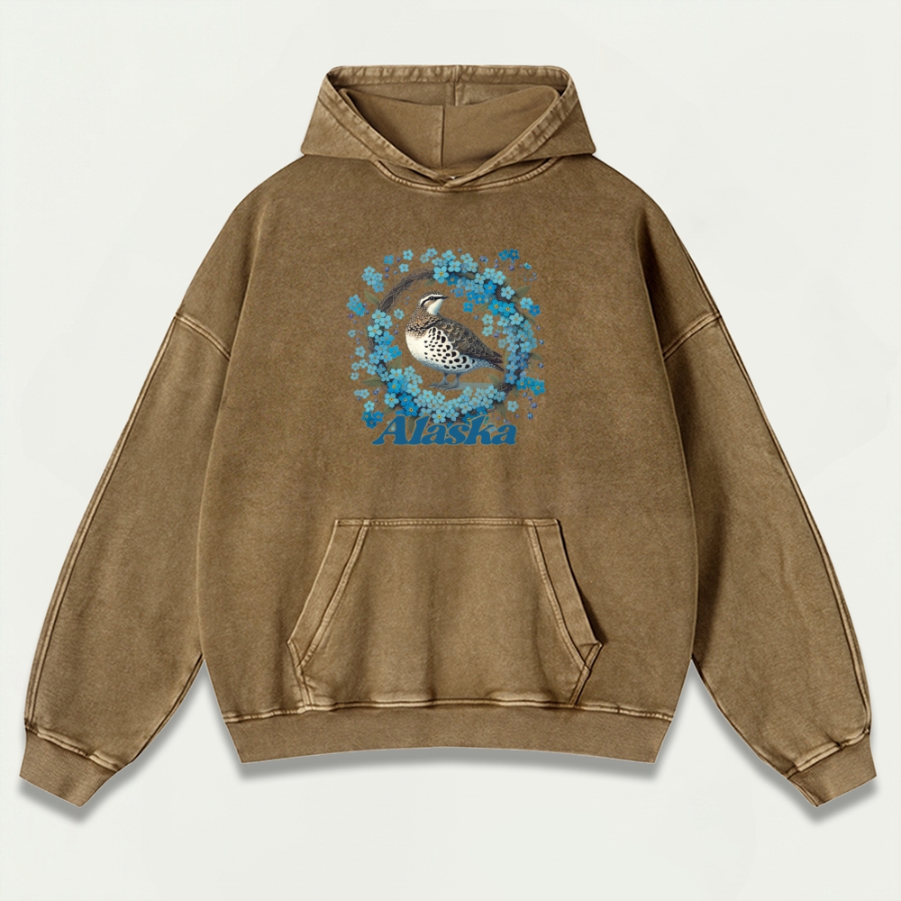 Alaska Vintage Premium Heavyweight Hiking Hoodie-HikeVista