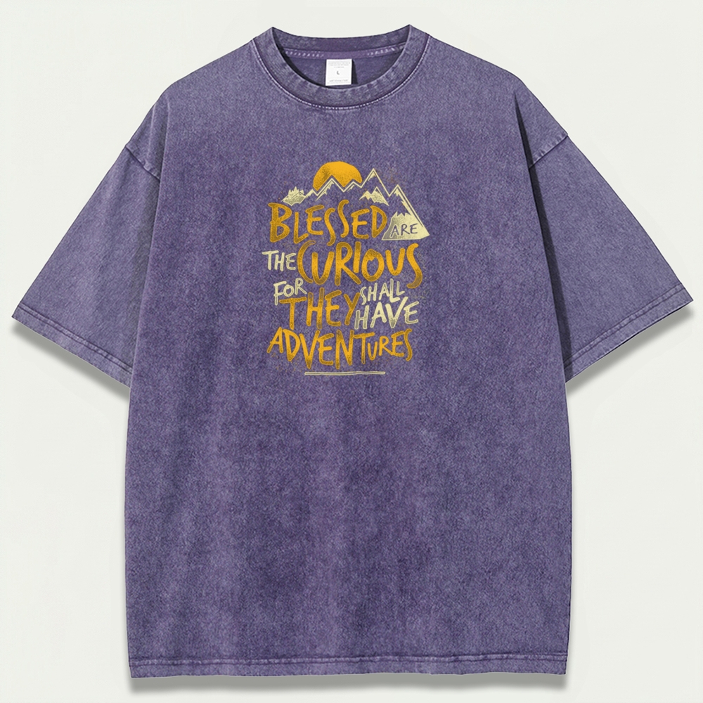 Blessed Are The Curious Vintage Organic Cotton Trail Tee-HikeVista