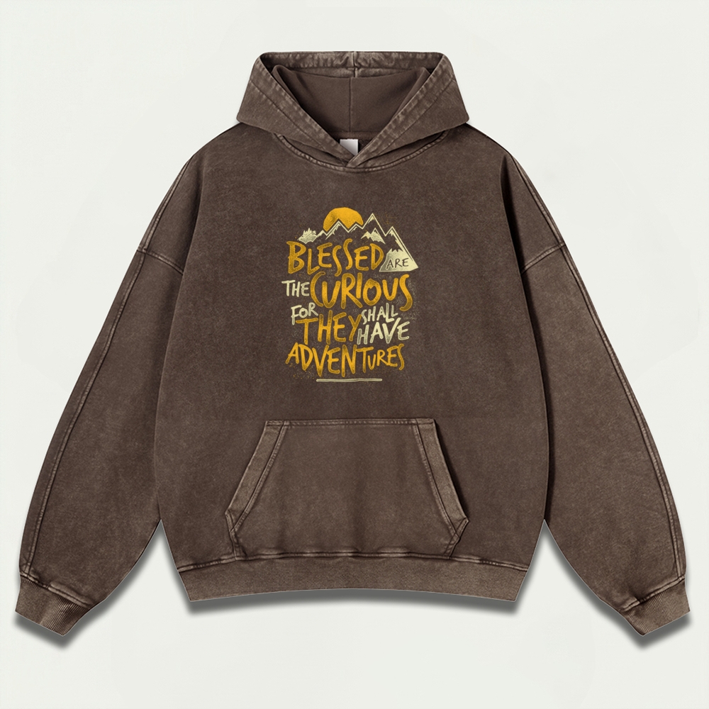 Blessed Are The Curious Vintage Premium Heavyweight Trail Hoodie-HikeVista