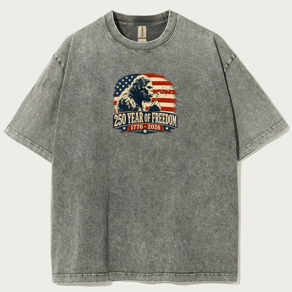 250 Years Of Freedom Vintage Organic Cotton Trail Tee