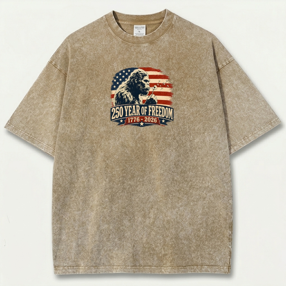 250 Years Of Freedom Vintage Organic Cotton Trail Tee