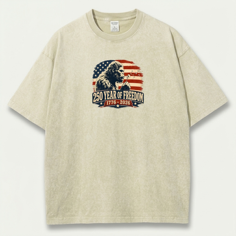 250 Years Of Freedom Vintage Organic Cotton Trail Tee