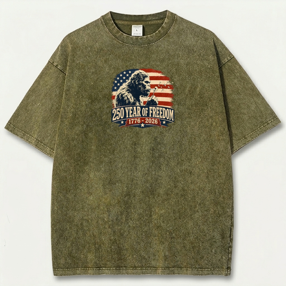 250 Years Of Freedom Vintage Organic Cotton Trail Tee