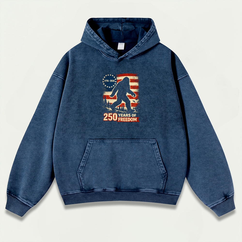 250 Years Of Freedom Vintage Premium Heavyweight Trail Hoodie-HikeVista