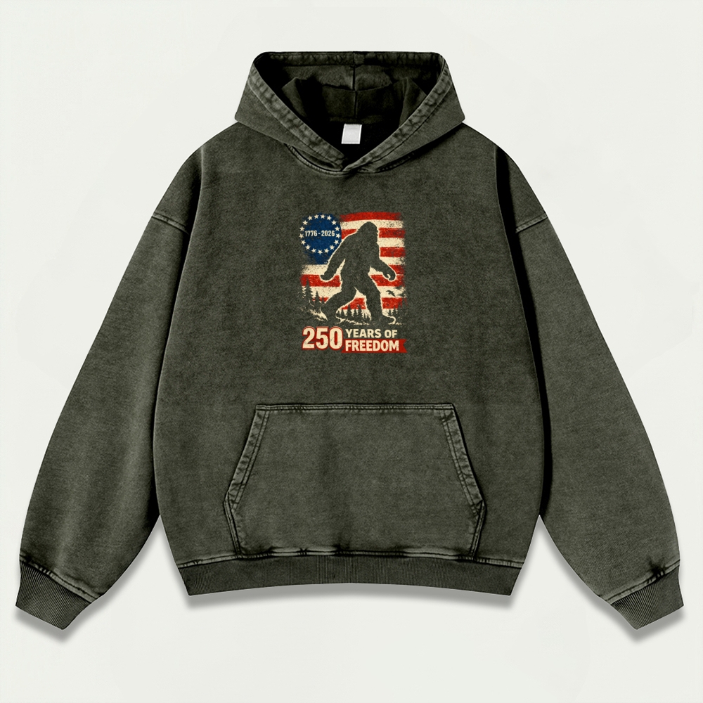 250 Years Of Freedom Vintage Premium Heavyweight Trail Hoodie-HikeVista