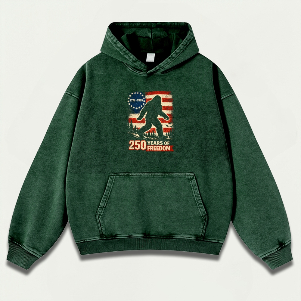 250 Years Of Freedom Vintage Premium Heavyweight Trail Hoodie-HikeVista