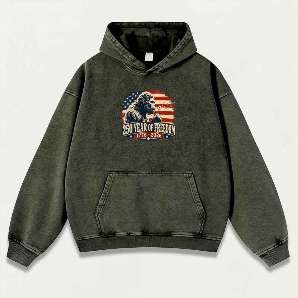 250 Years Of Freedom Vintage Premium Heavyweight Trail Hoodie-HikeVista