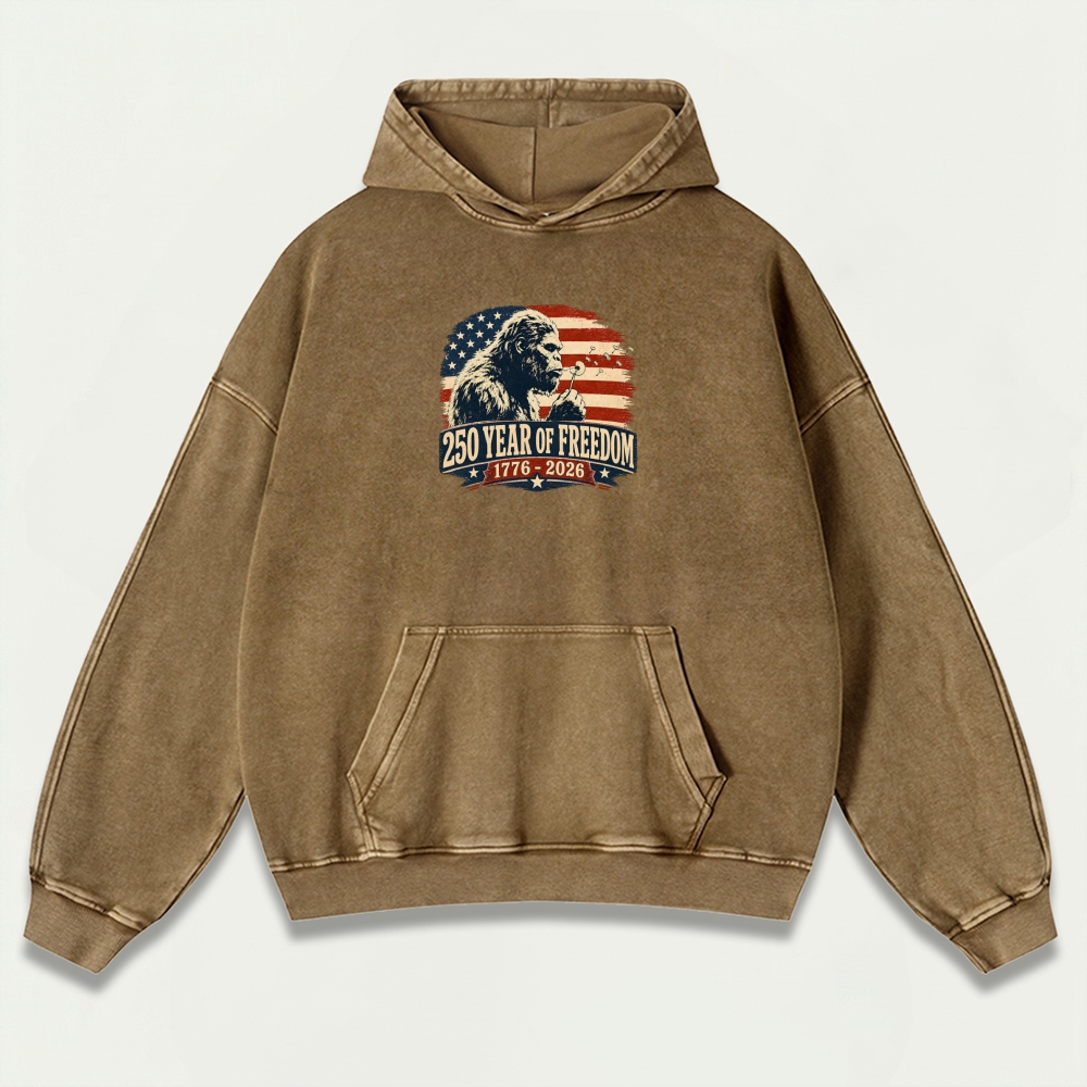 250 Years Of Freedom Vintage Premium Heavyweight Trail Hoodie-HikeVista