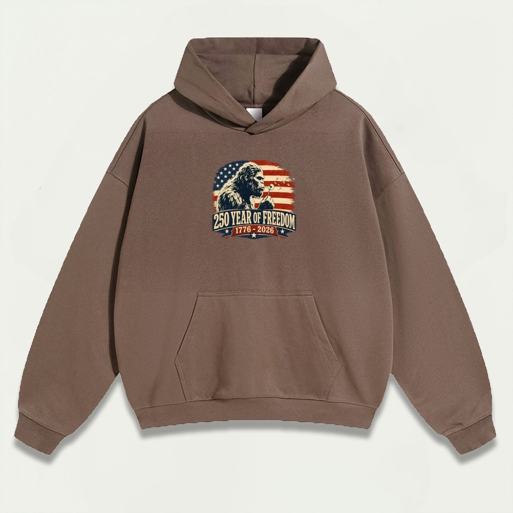 250 Years Of Freedom Heavyweight Trail Hoodie-HikeVista