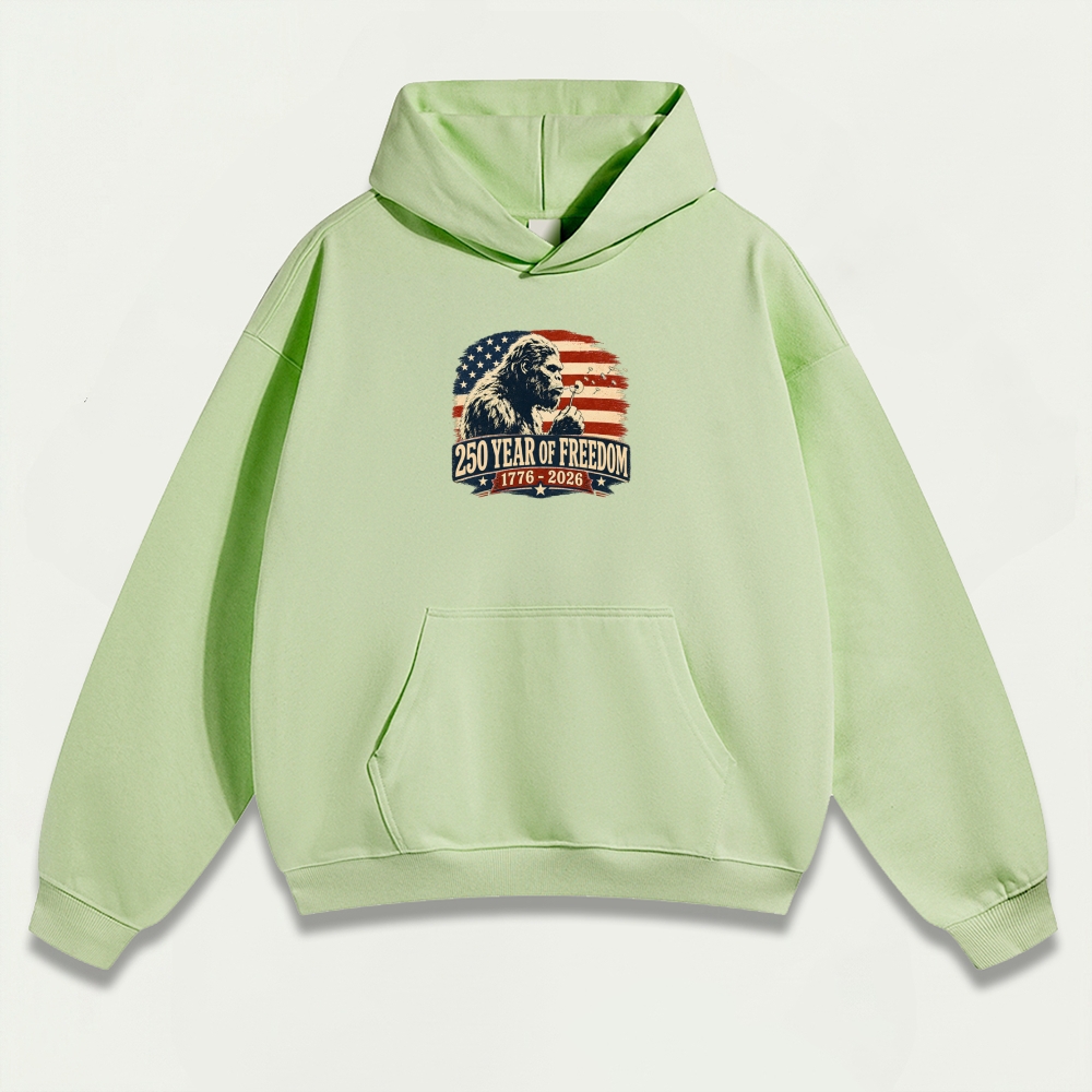 250 Years Of Freedom Heavyweight Trail Hoodie-HikeVista