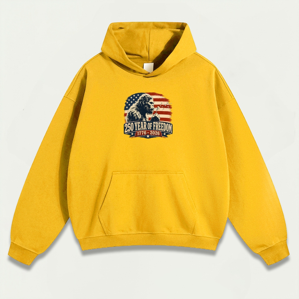 250 Years Of Freedom Heavyweight Trail Hoodie-HikeVista