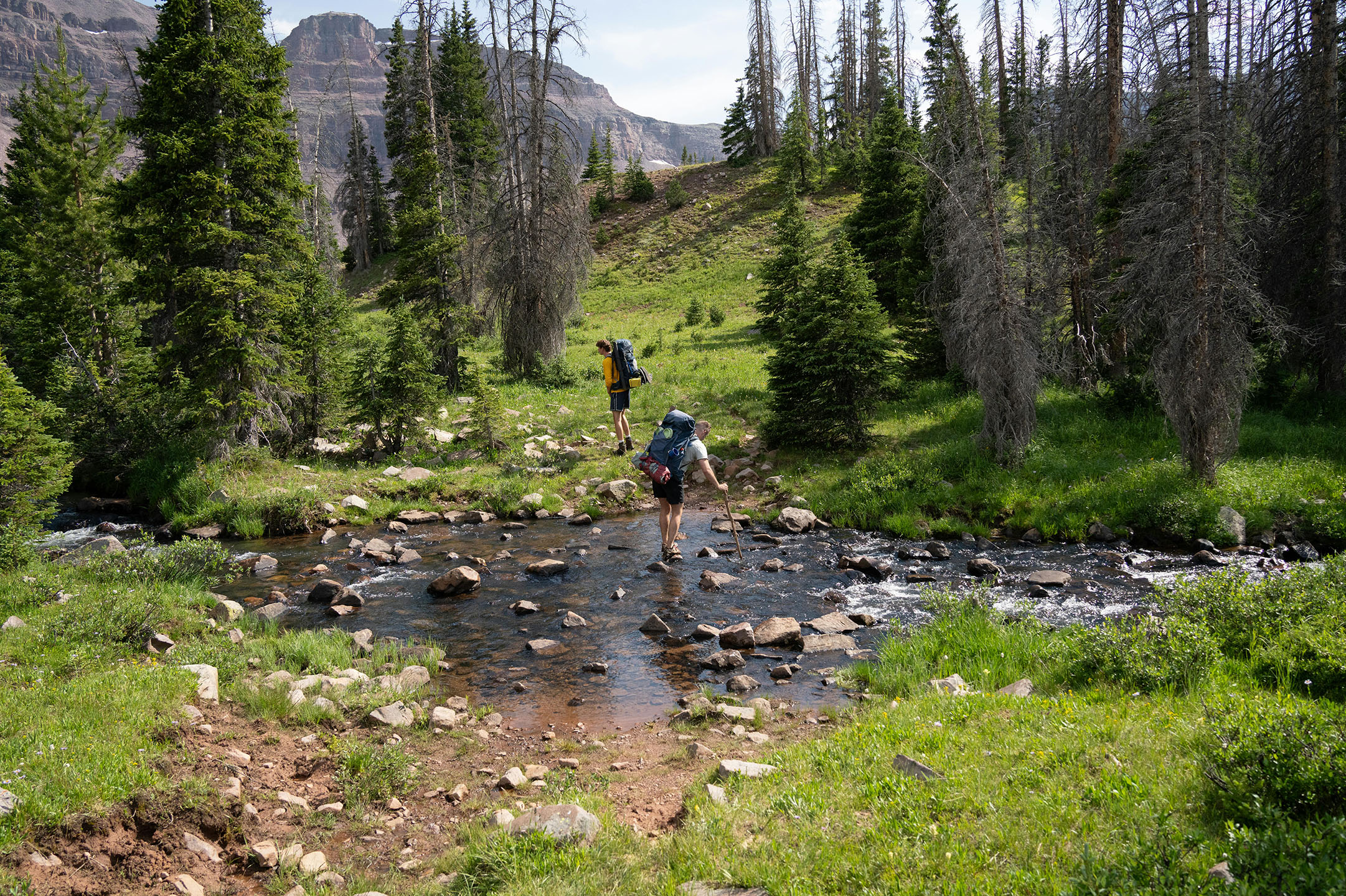 Vintage distressed hoodie on spring trail in Yellowstone with geysers and wildlife

