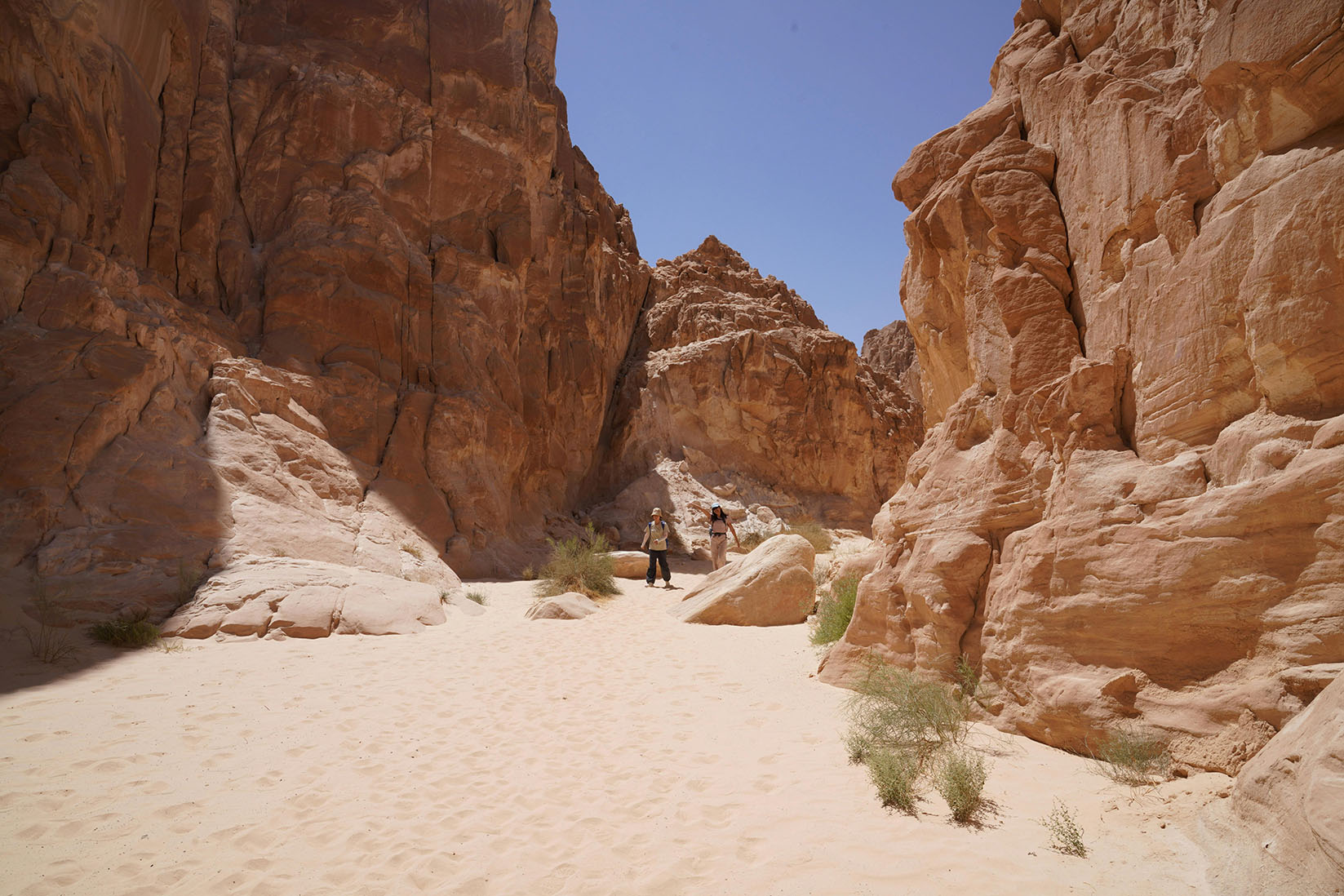 Zion National Park: Why This Red Rock Wonderland Feels Like Home for Vintage Gear Lovers-HikeVista