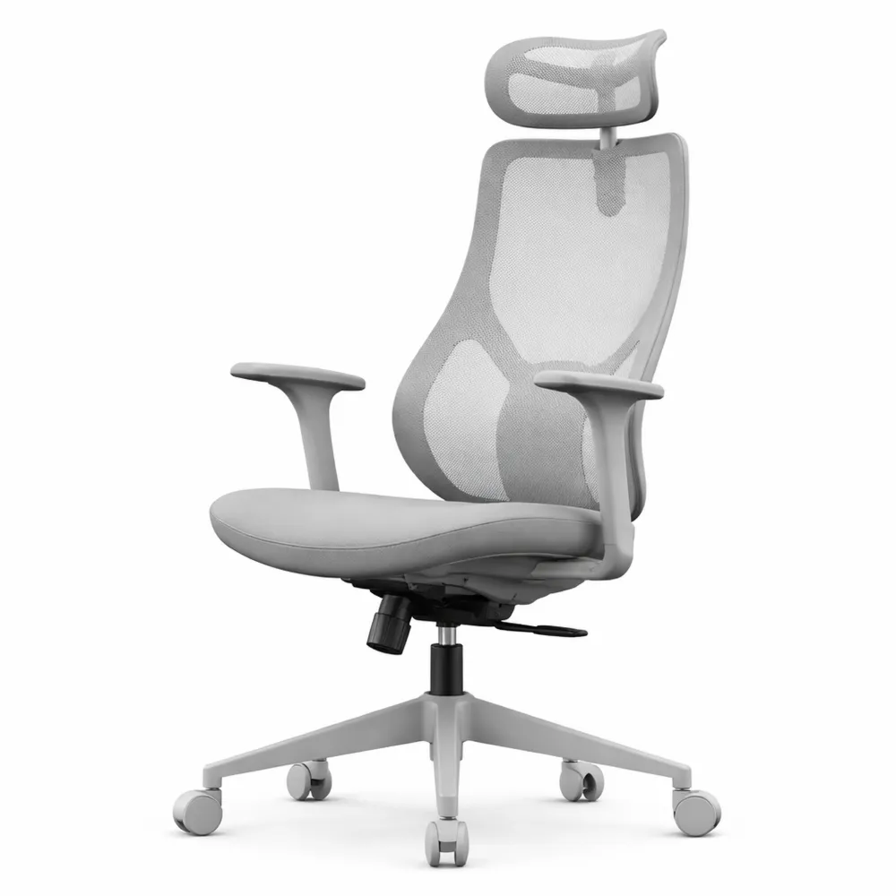 Chaise de Bureau Ergonomique avec Support Lombaire et Accoudoirs Réglables