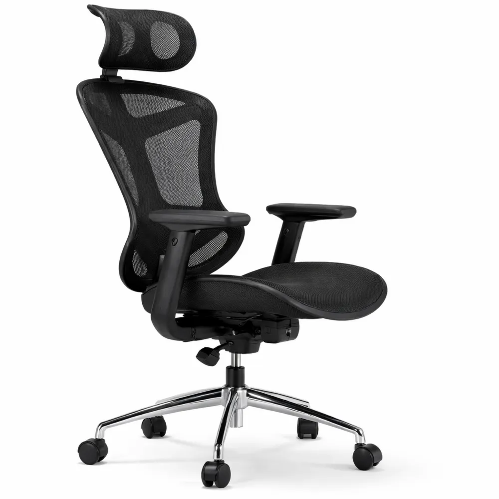 Chaise de Bureau Ergonomique avec Accoudoirs 3D et Soutien Lombaire