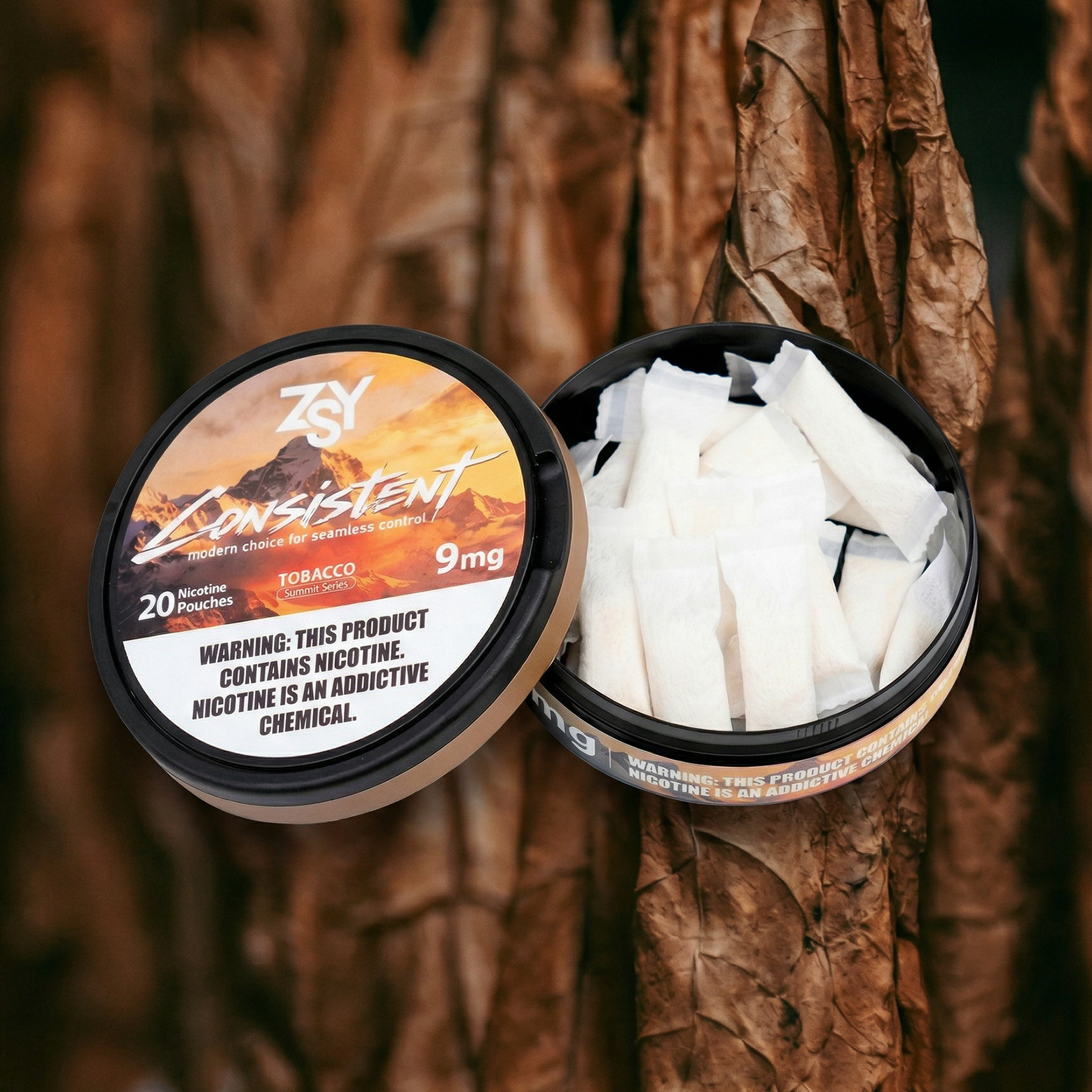  Tobacco Nicotine Pouches