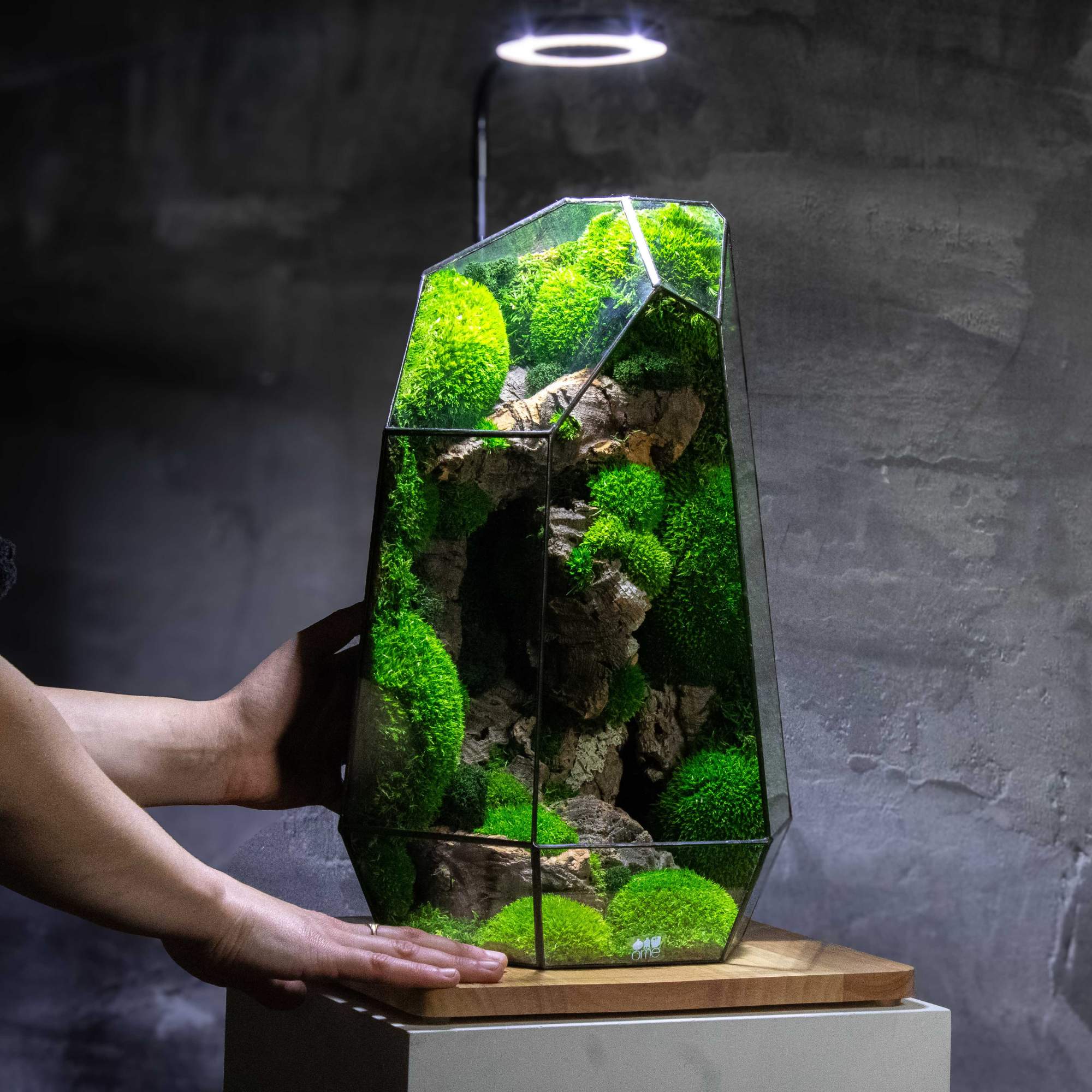 Wooden Display Board With Light