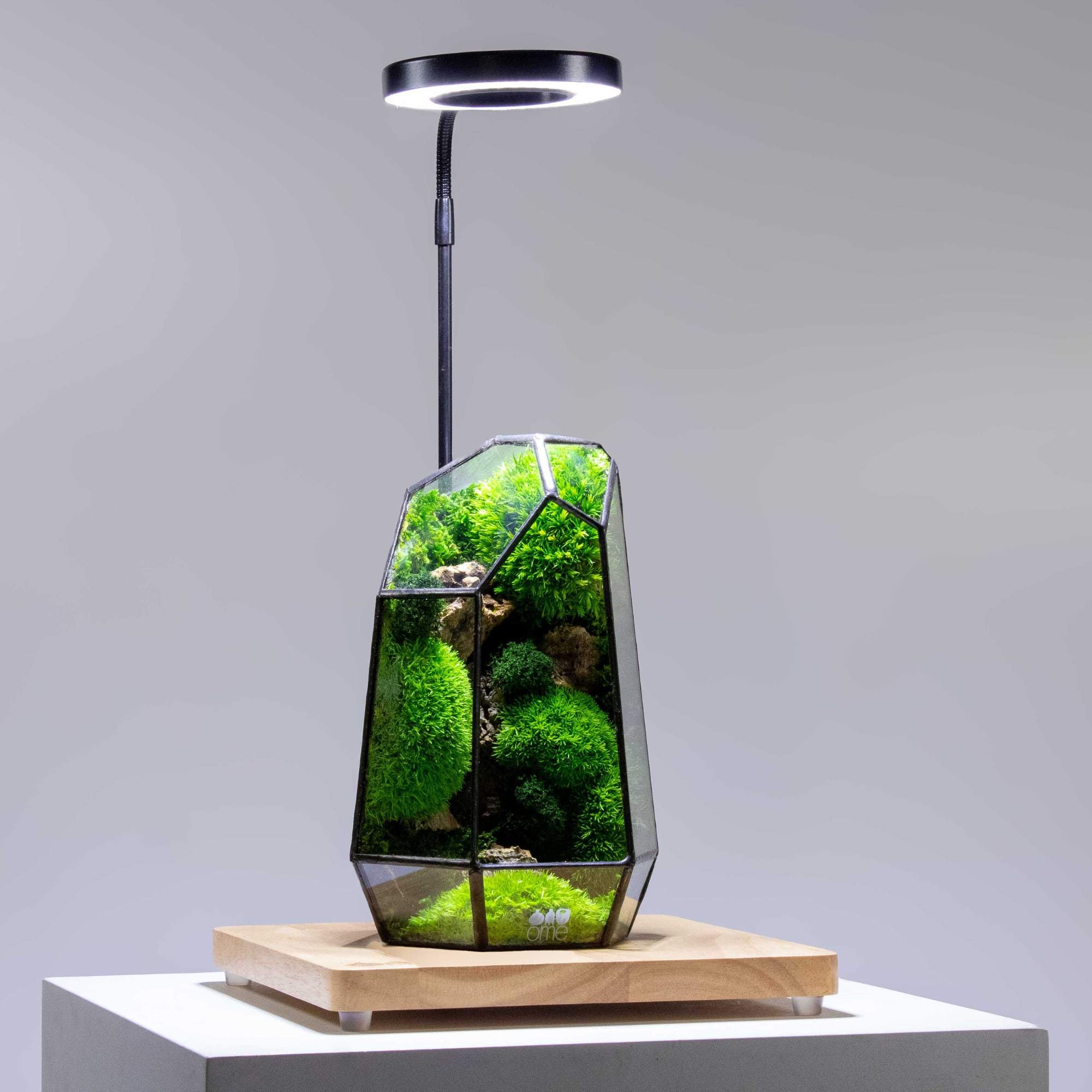 Wooden Display Board With Light