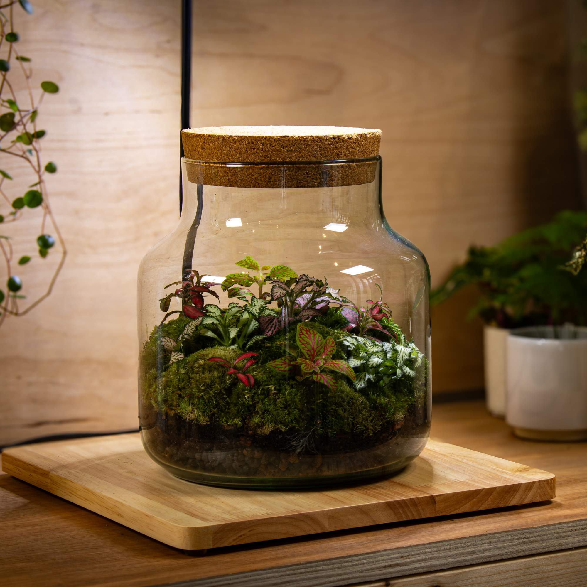Wooden Display Board With Light