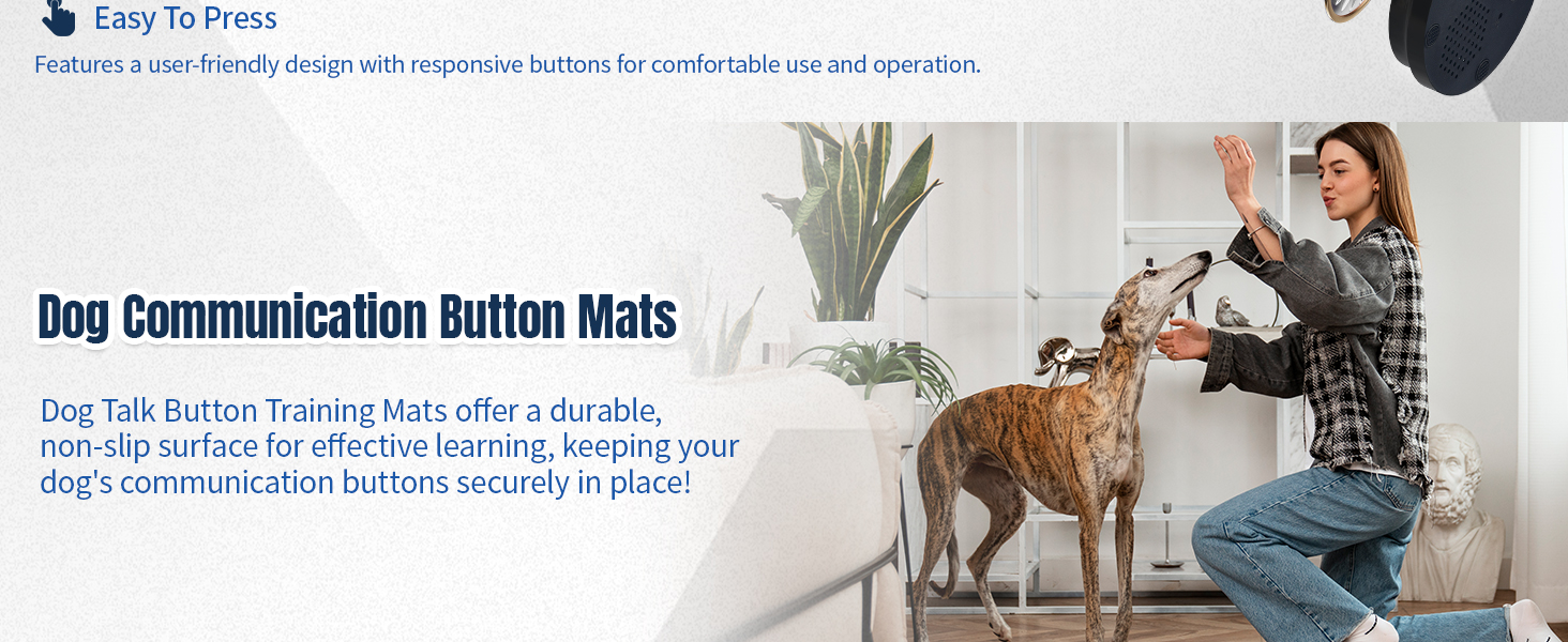 recordable button