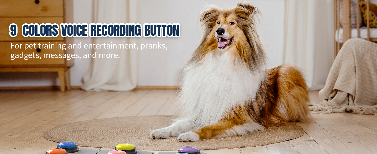 dog buttons for communication