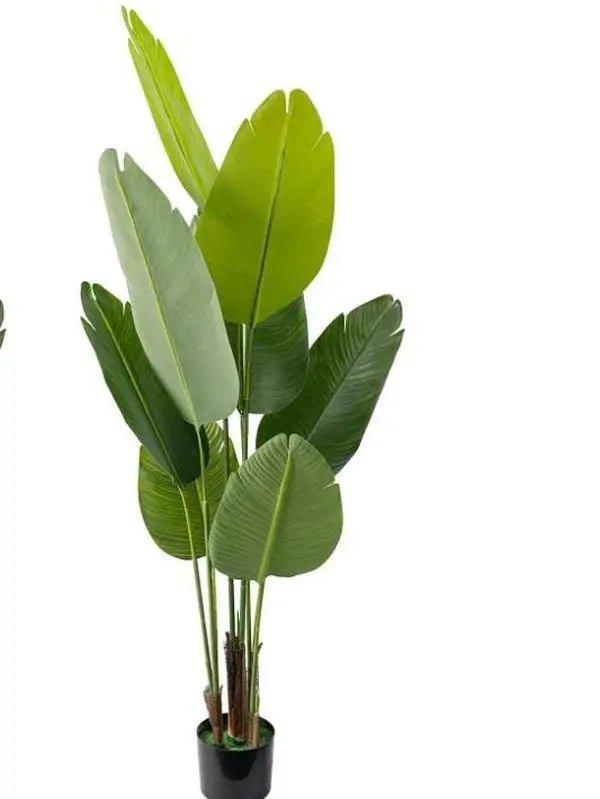 Artificial Bird of Paradise 5 Feet 60 Inch Premium UV Resistant Lifelike Fake Plant in Pot with Dried Moss for Office  Valentine's dayIndoor Outdoor Use Tropical Home Décor Tree Garden Decorations Decorative Flowers Ornaments Outdoorfun Gift - Fruit