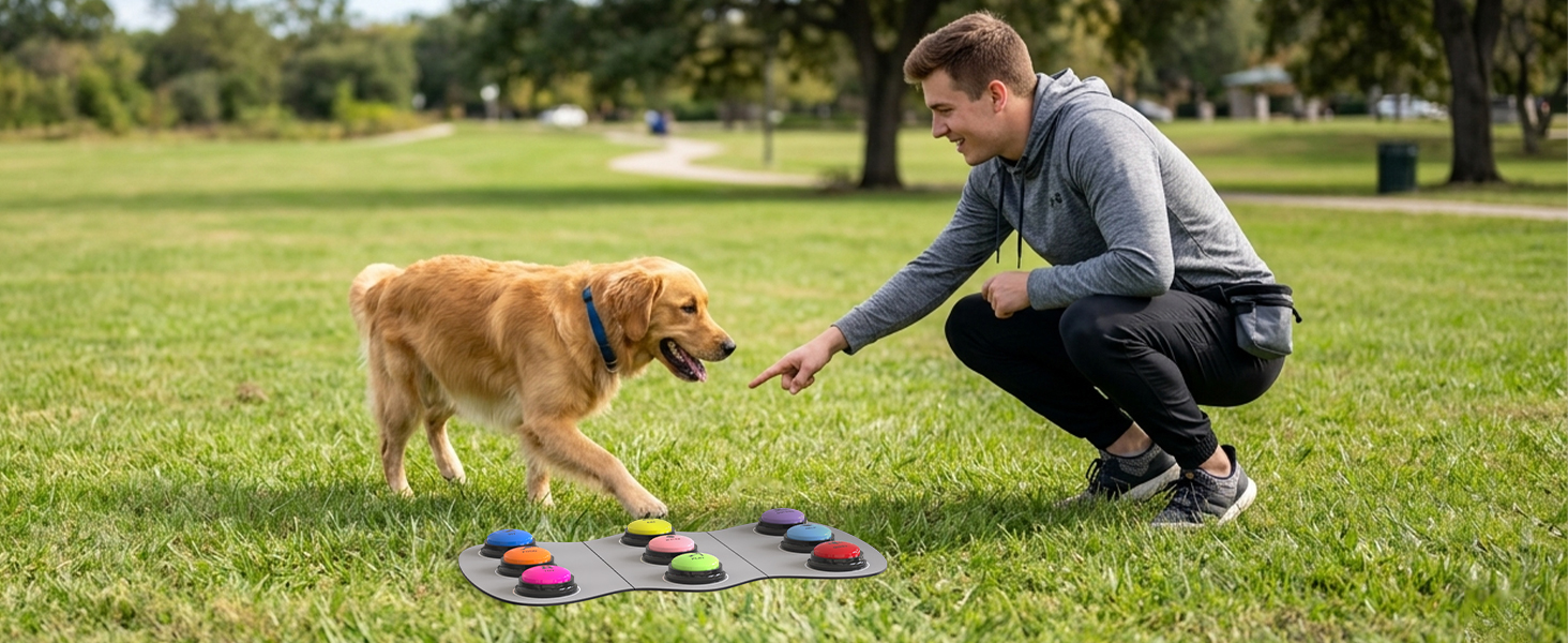 dog training buttons