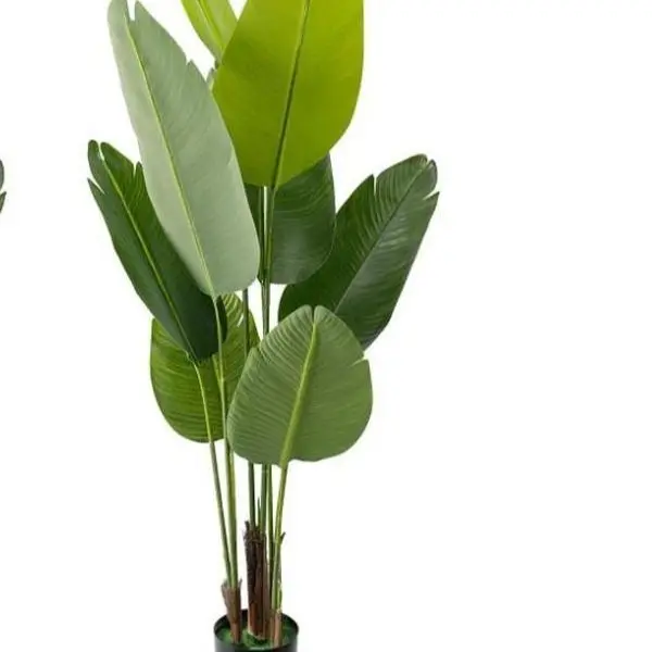 Artificial Bird of Paradise 5 Feet 60 Inch Premium UV Resistant Lifelike Fake Plant in Pot with Dried Moss for Office  Valentine's dayIndoor Outdoor Use Tropical Home Décor Tree Garden Decorations Decorative Flowers Ornaments Outdoorfun Gift - Fruit