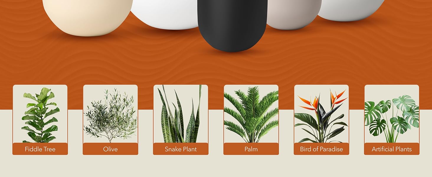 planter