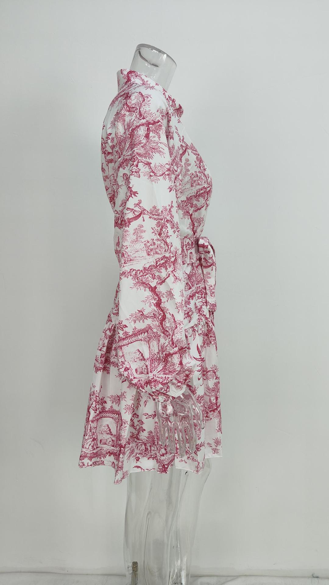 Women’s Elegant Fashion Chinese Style Printed Tie Mini Dress